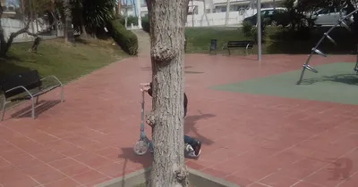 Imagen del anuncio: Asesora en el cuidado del adulto mayor