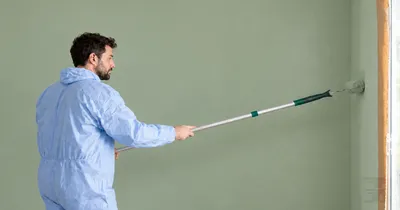 Imagen del anuncio: Pintor profesional