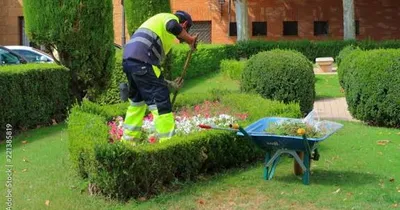 Imagen del anuncio: Jardinero para cuidar a tu jardín y transformarla