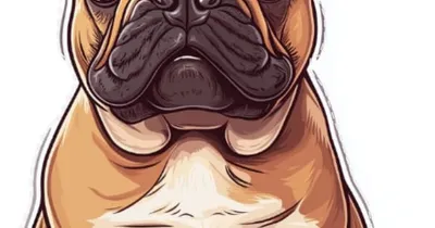 Imagen del anuncio: Paseadora de perros